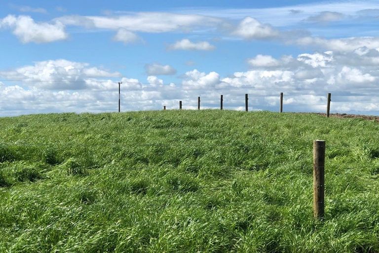 Photo of property in 155 Tauhei Road, Mangateparu, Morrinsville, 3375