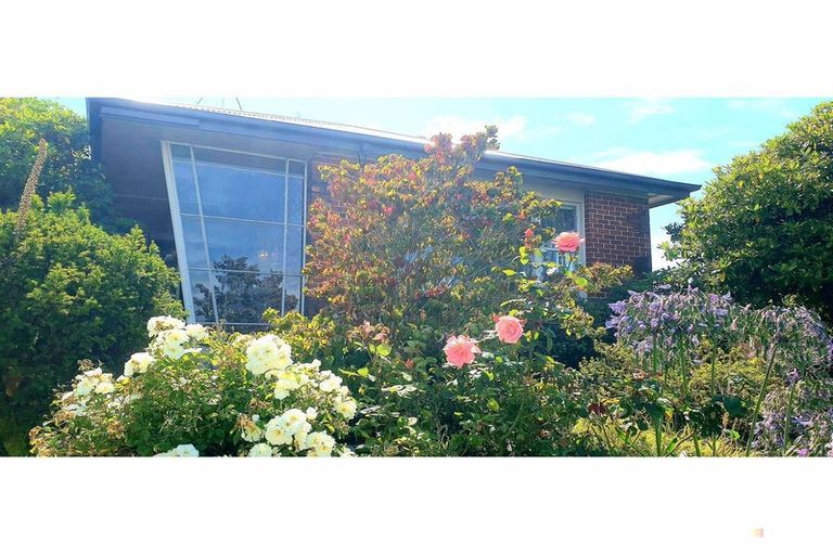 Photo of property in 109 North Street, Seaview, Timaru, 7910