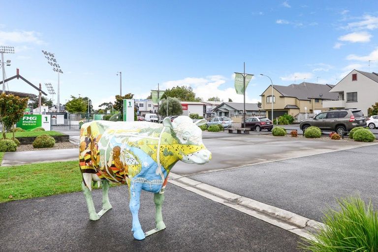 Photo of property in 1/432 Tristram Street, Whitiora, Hamilton, 3200