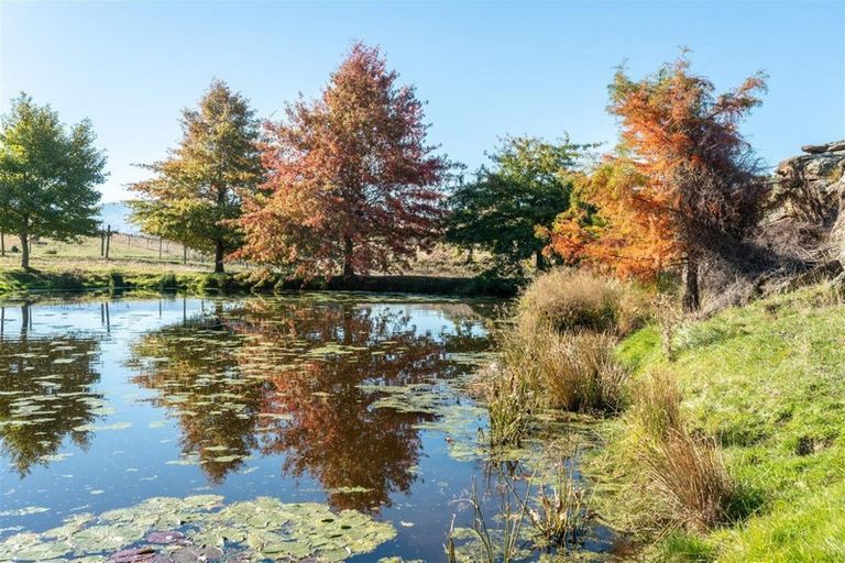 Photo of property in 196 Chapman Road, Earnscleugh, Alexandra, 9391