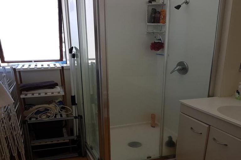 Photo of property in Te Awhina Apartments, 3/22 Sussex Street, Mount Cook, Wellington, 6021