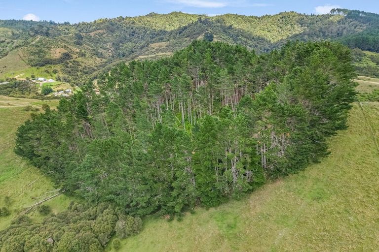 Photo of property in 80 Aley Road, Mangatawhiri, Bombay, 2675