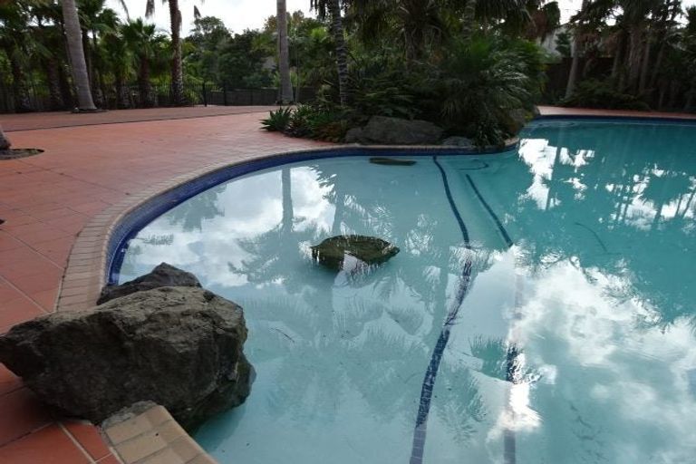 Photo of property in Santa Rosa, 2/340 Gulf Harbour Drive, Gulf Harbour, Whangaparaoa, 0930