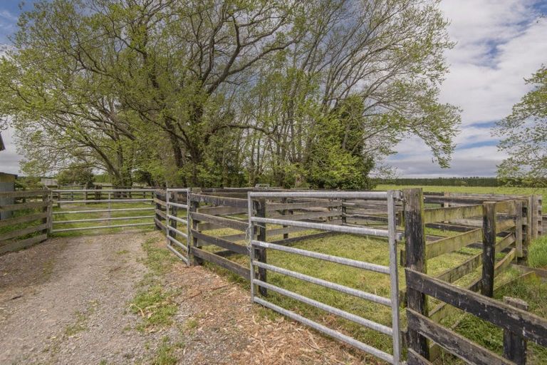 Photo of property in 763 Drain Road, Leeston, 7682