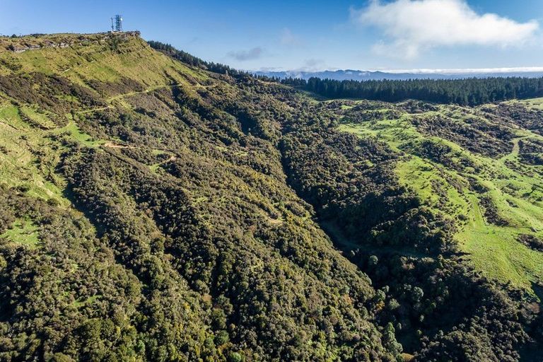 Photo of property in 3137 Taupo Road, Te Pohue, Napier, 4182