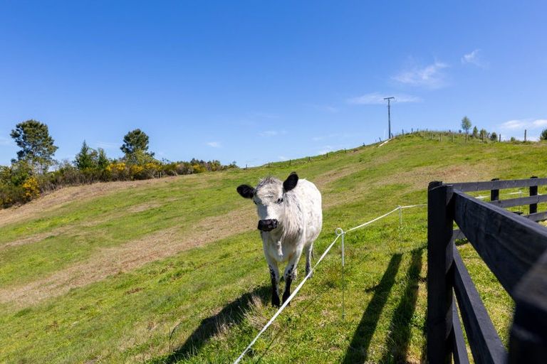 Photo of property in 74 Otake Road, Marotiri, Taupo, 3377