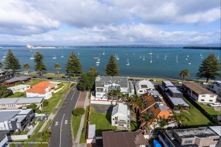 Photo of property in 3 Commons Avenue, Mount Maunganui, 3116