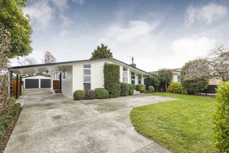 Photo of property in 141 Salisbury Street, Ashhurst, 4810