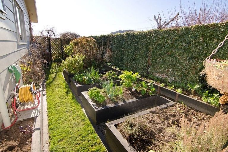 Photo of property in 111 Cheviot Street, Roxburgh, 9500