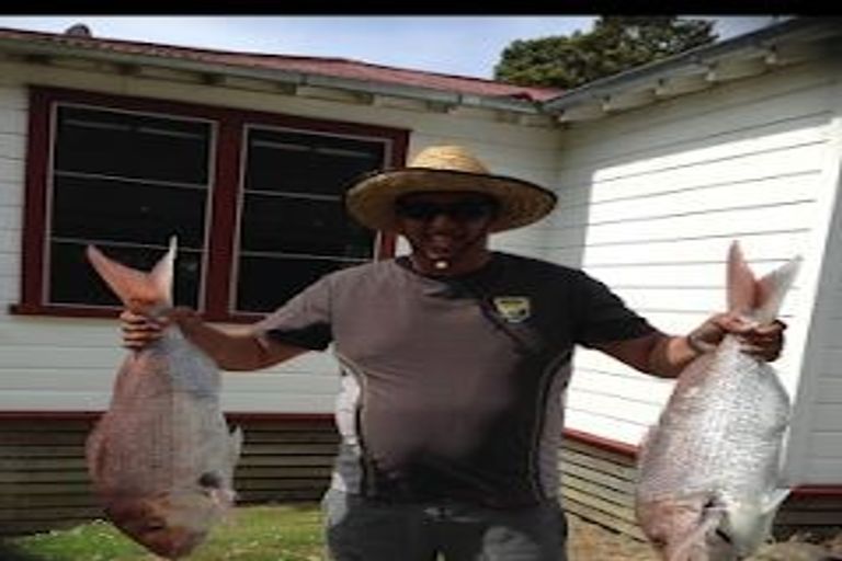 Photo of property in 502 Waipiro Road, Waipiro, Tokomaru Bay, 4079