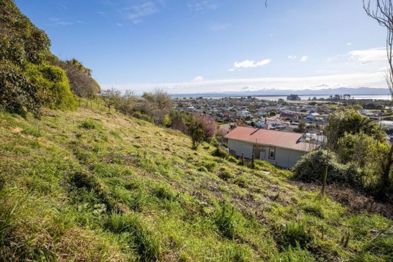 Photo of property in 83 Tahunanui Drive, Tahunanui, Nelson, 7011