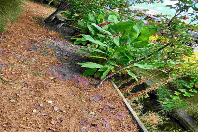 Photo of property in 9 Ascot Place, Netherby, Ashburton, 7700