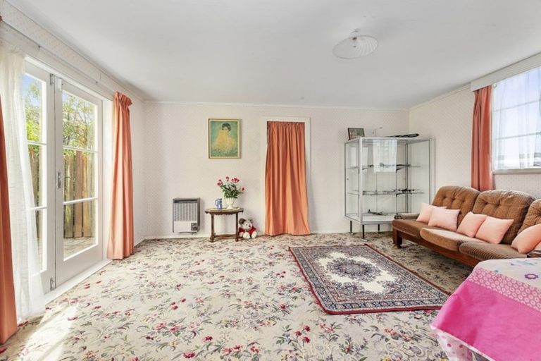 Photo of property in 153 The Ridgeway, Mornington, Wellington, 6021