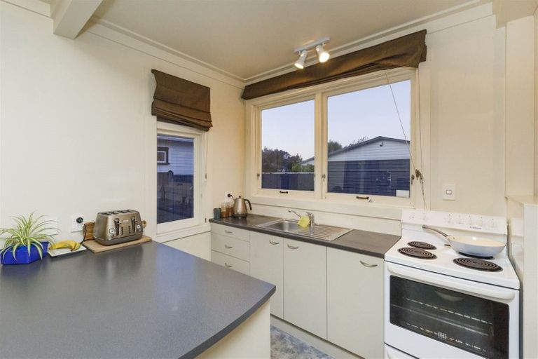 Photo of property in 99 Shamrock Street, Takaro, Palmerston North, 4412
