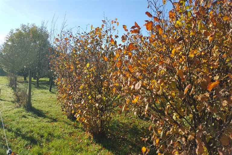 Photo of property in High Street, Waimate, 7924