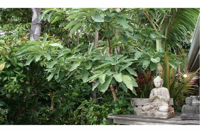 Photo of property in 2 Ashby Street, Russell, 0202