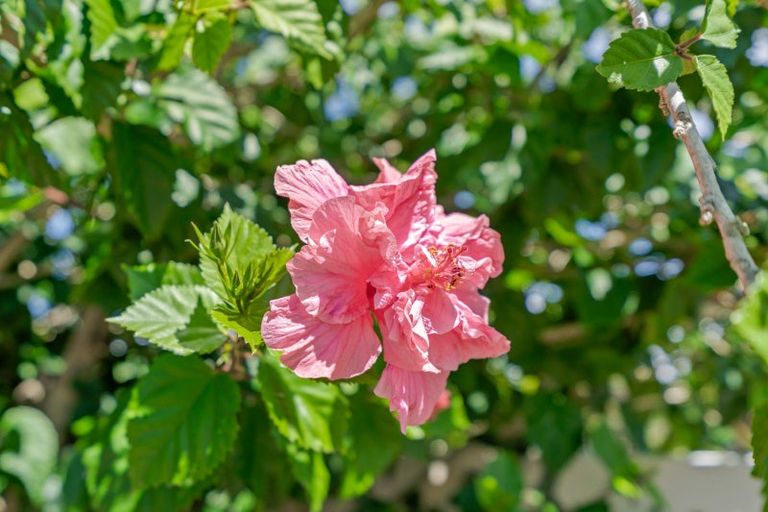 Photo of property in 16 Moki Place, Ruakaka, 0116