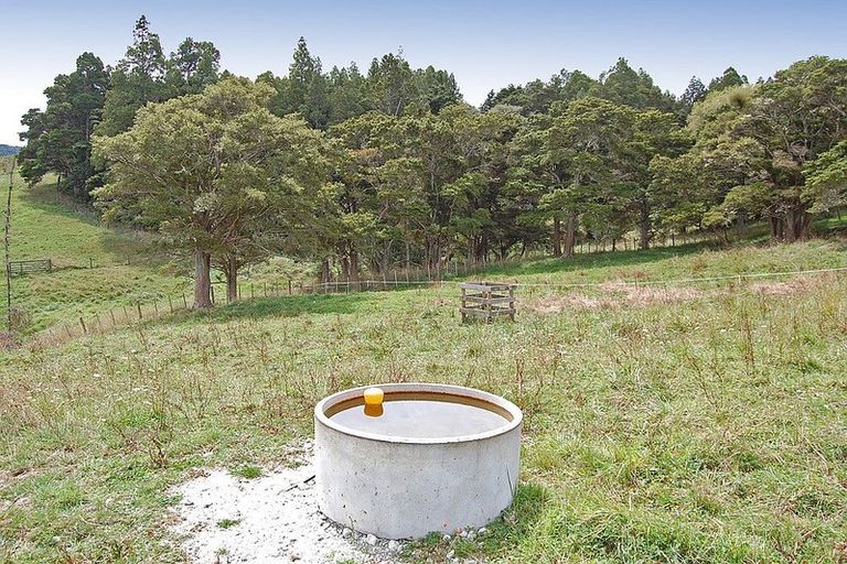 Photo of property in 280c Baldrock Road, Kaiwaka, Maungaturoto, 0587