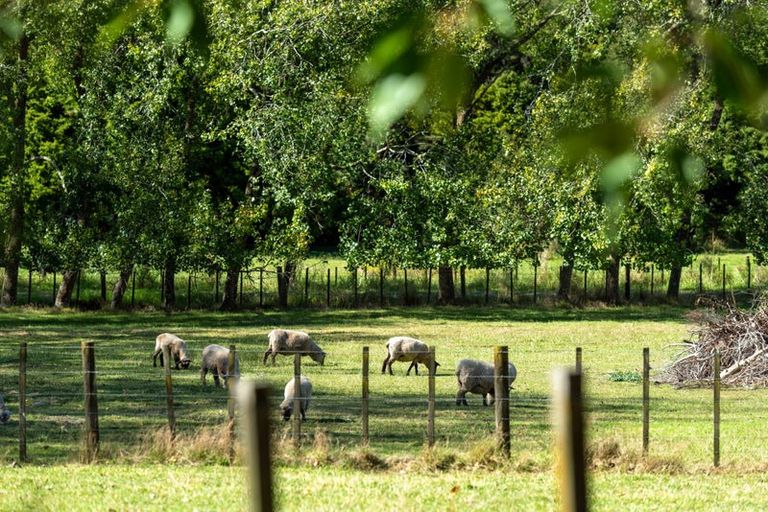 Photo of property in 326 Upper Waiwera Road, Puhoi, Silverdale, 0994