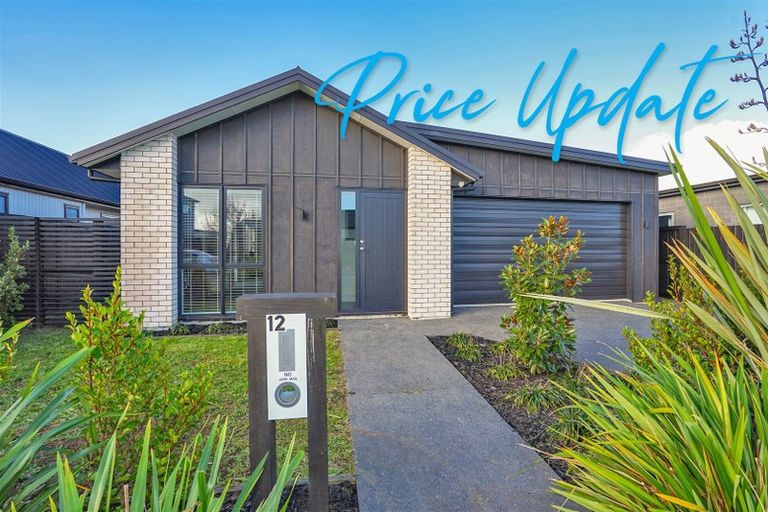 Photo of property in 12 Voight Avenue, Chartwell, Hamilton, 3210