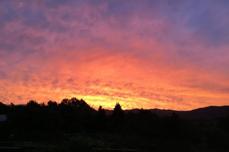 Photo of property in 18 Donegal Place, Katikati, 3129