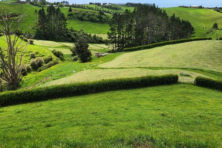 Photo of property in 144 King Road, Inglewood, 4386