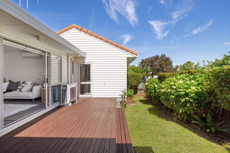 Photo of property in 45a Harrier Street, Parkvale, Tauranga, 3112