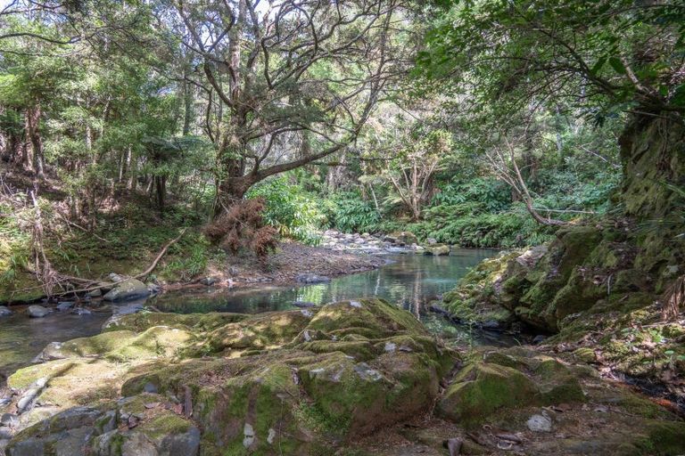 Photo of property in 697 Kohumaru Road, Mangonui, 0494