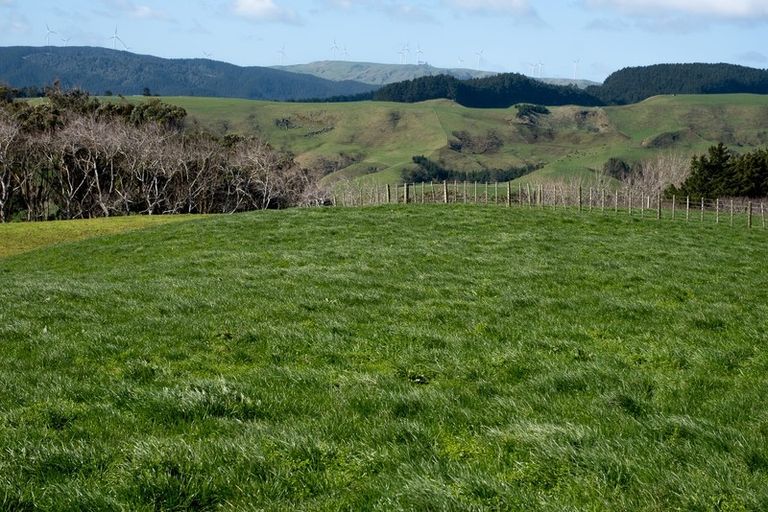 Photo of property in 697 Maungatawhiri Road, Raglan, 3295