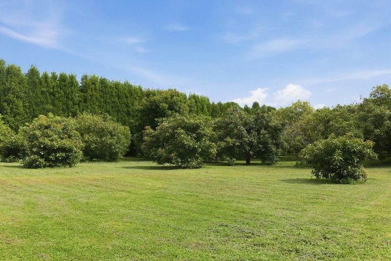 Photo of property in 151a Hereford Road, Oropi, Tauranga, 3173