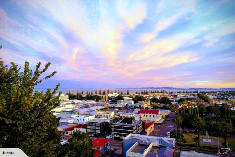 Photo of property in 38 Cameron Road, Bluff Hill, Napier, 4110