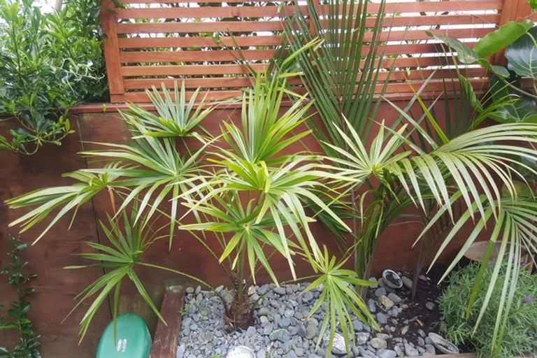 Photo of property in 58 Gordon Road, Plimmerton, Porirua, 5026