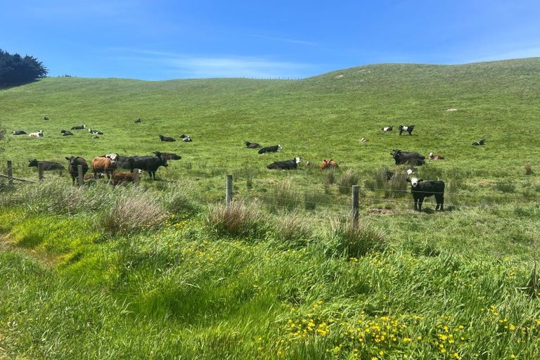 Photo of property in 923 Oporae Road, Waione, Dannevirke, 4971