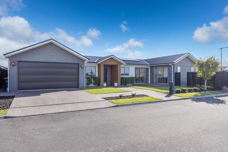 Photo of property in 31 Couldsack Avenue, Chartwell, Hamilton, 3210