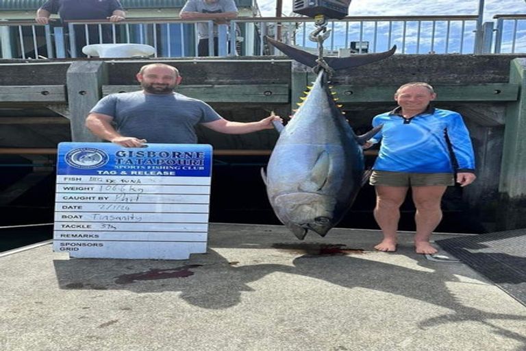 Photo of property in 187 Crawford Road, Kaiti, Gisborne, 4010