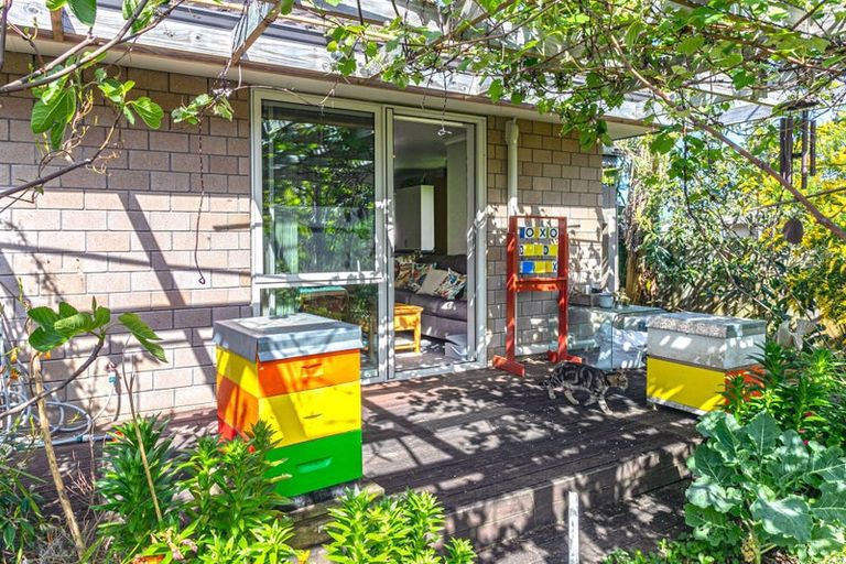 Photo of property in 100 Greenhills Drive, Coromandel, 3506