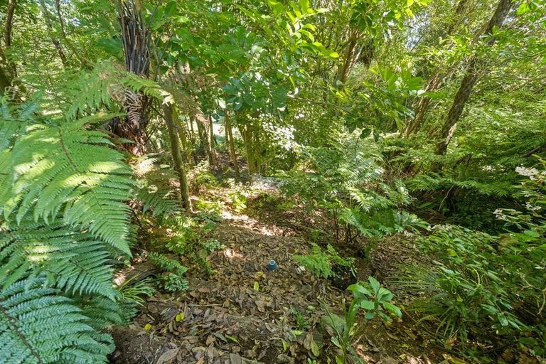 Photo of property in 91 Manu Crescent, Upper Vogeltown, New Plymouth, 4310