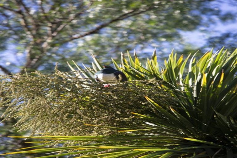 Photo of property in 28 Valley Road, Cashmere, Christchurch, 8022