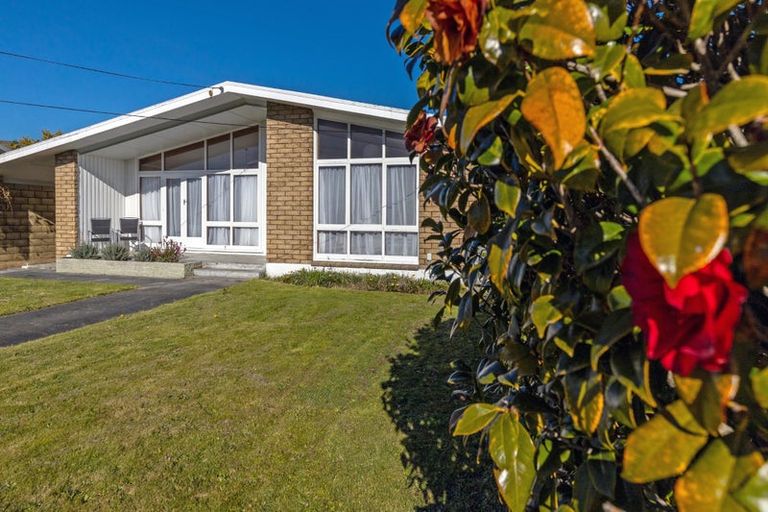 Photo of property in 34 Mckenzie Street, Witherlea, Blenheim, 7201