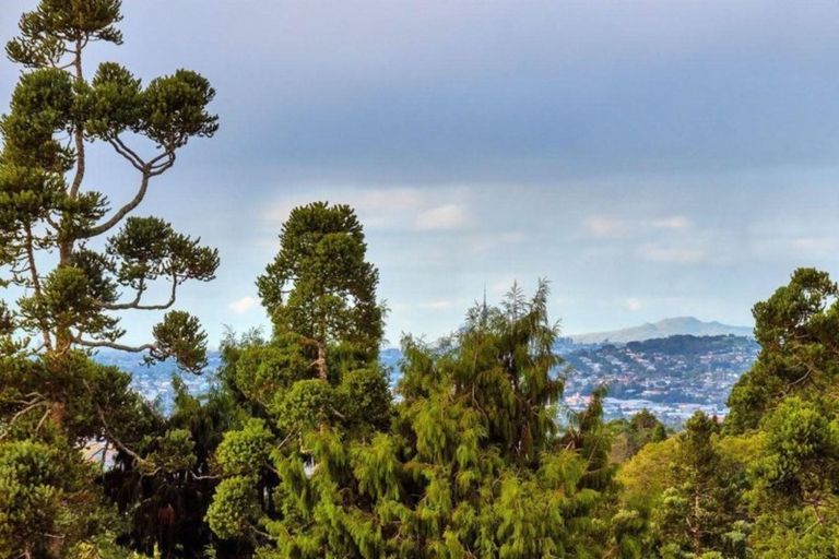 Photo of property in 431 Titirangi Road, Titirangi, Auckland, 0604