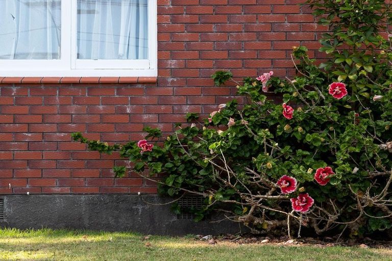 Photo of property in 67 Young Street, New Plymouth, 4310