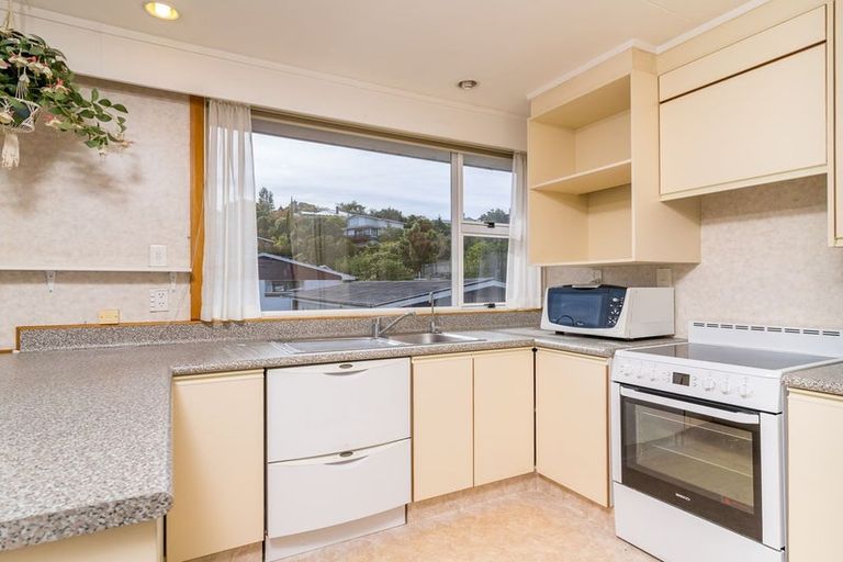 Photo of property in 36b Evans Street, Opoho, Dunedin, 9010