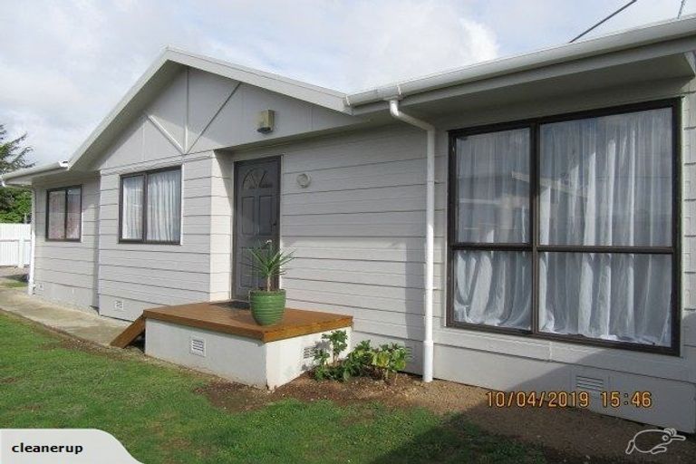 Photo of property in 36a Wilton Street, Levin, 5510