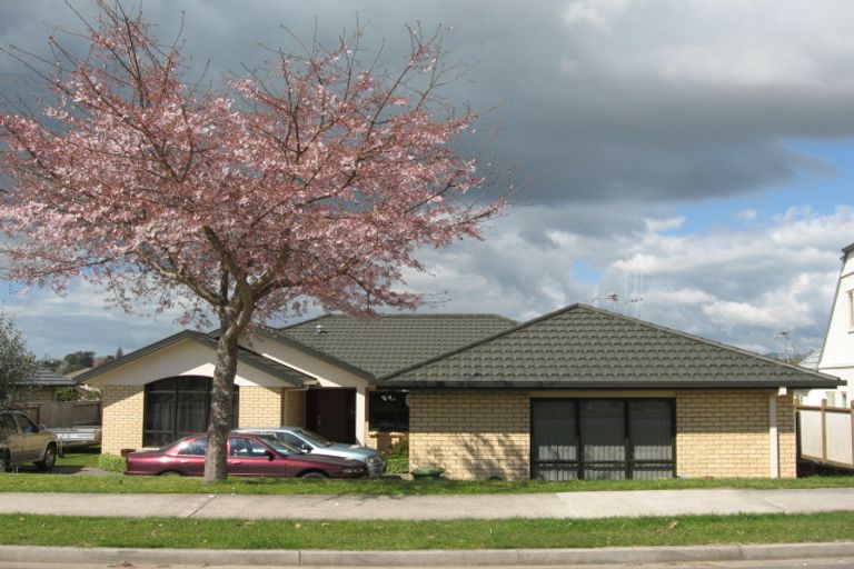 Photo of property in 8 Brodie Place, Bethlehem, Tauranga, 3110