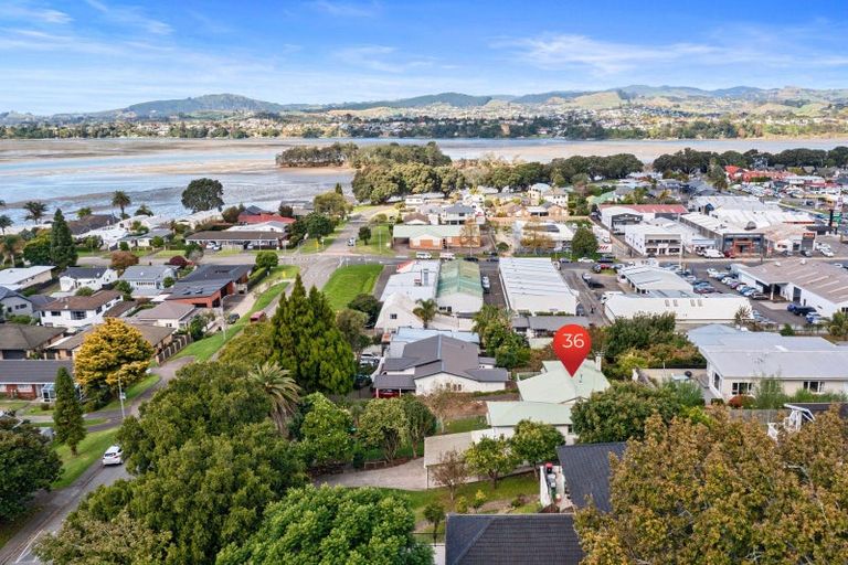Photo of property in 36 Fourteenth Avenue, Tauranga South, Tauranga, 3112
