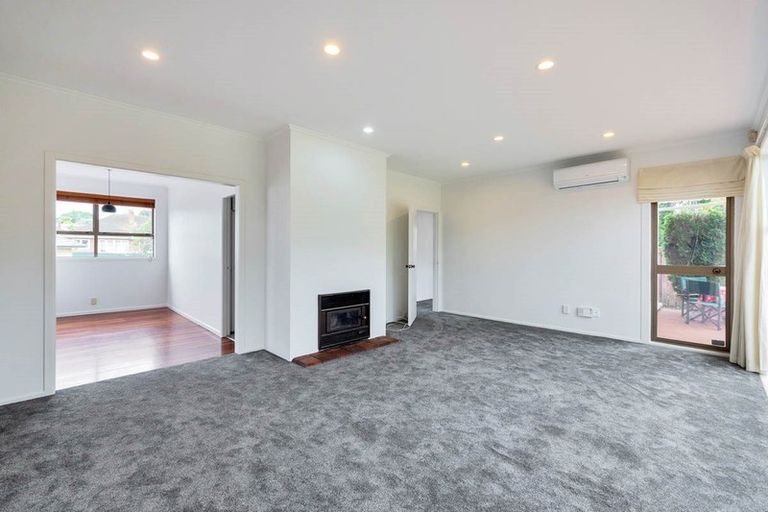 Photo of property in 6 Wendell Place, Greenlane, Auckland, 1061