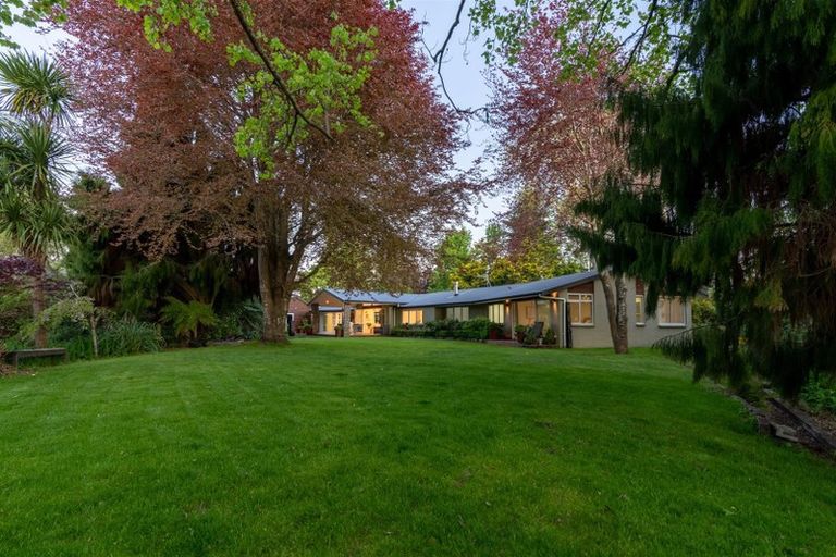 Photo of property in 255 Bankwood Road, Chartwell, Hamilton, 3210