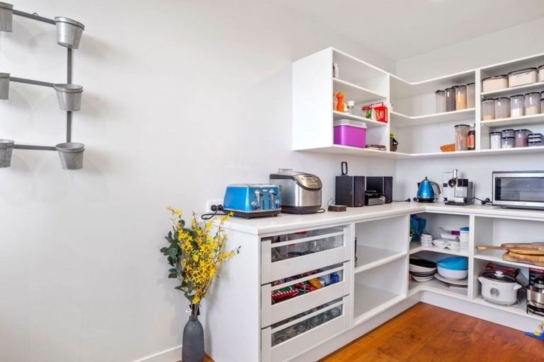 Photo of property in 170 Pumpkin Hill Road, Pumpkin Hill, Whitianga, 3591