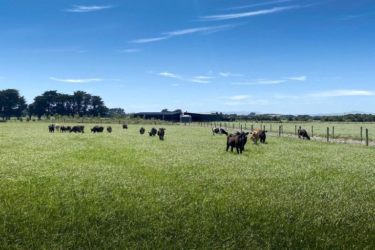 Photo of property in 490 Maharahara Road, Dannevirke, 4972