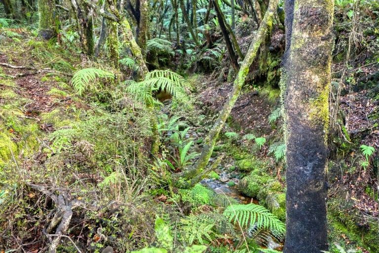 Photo of property in 67c Blue Spur Road, Blue Spur, Hokitika, 7882